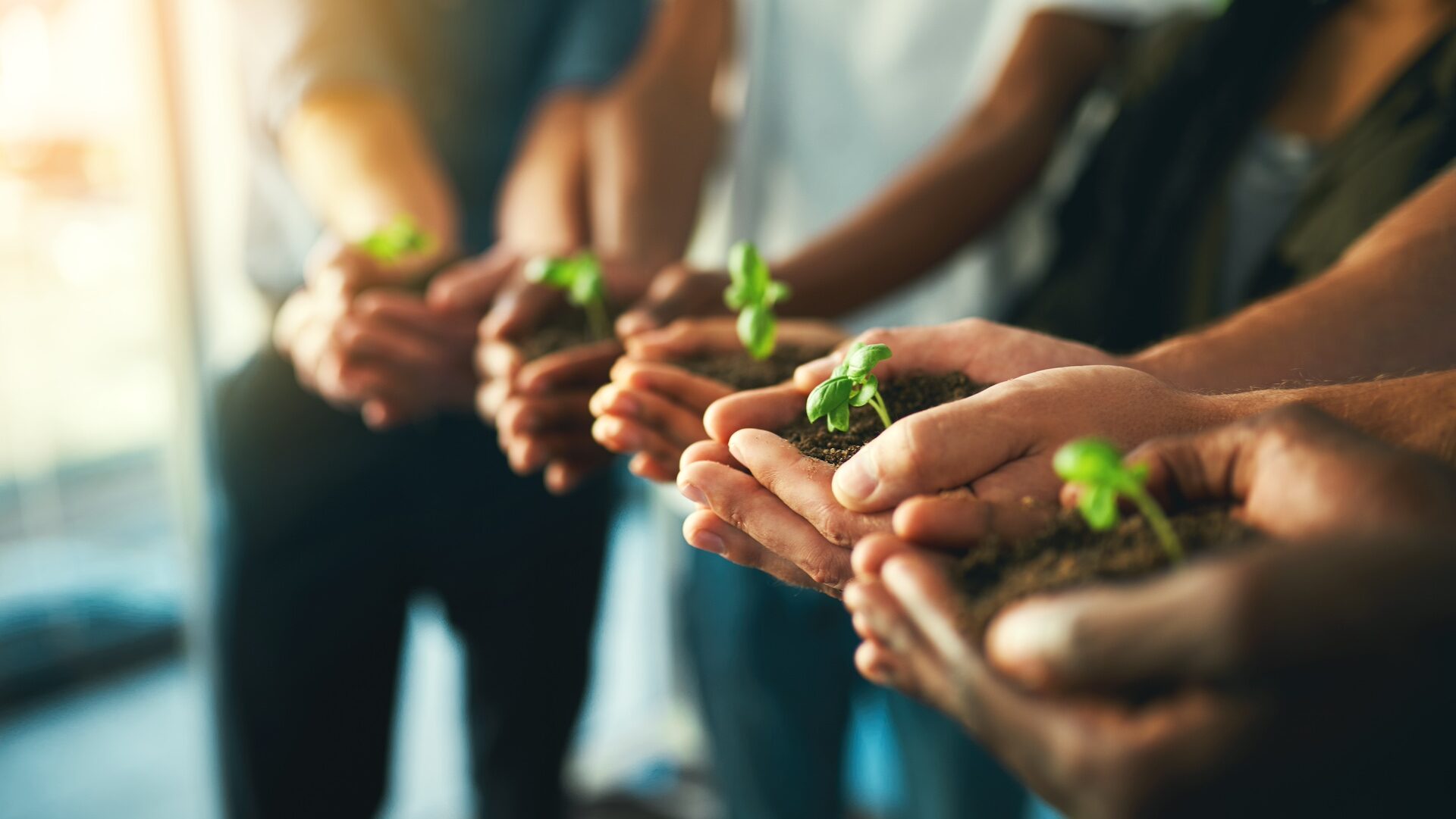 Sviluppo energetico sostenibile in Basilicata: il contributo delle fonti rinnovabili